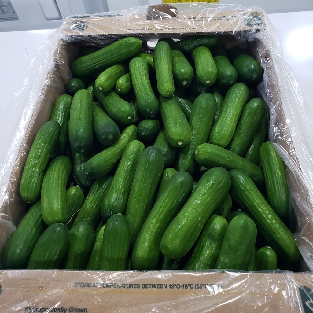Mini Cucumbers (175 to 200/case sold by weight) 20lb box