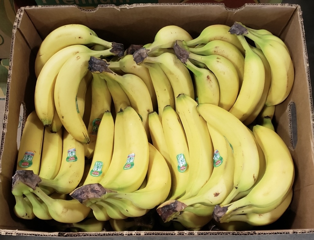 Bananas 40lb case